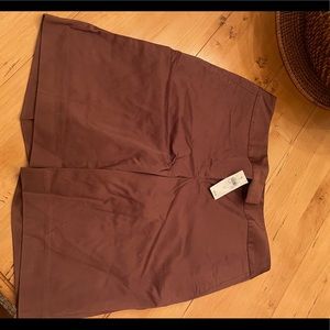 Brand New Ann Taylor Summer Shorts!